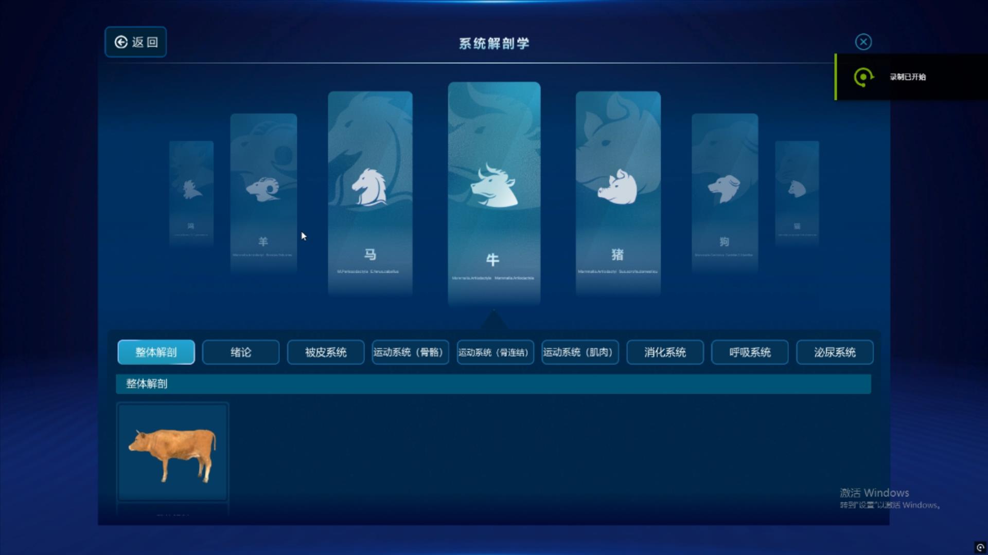 虚实教学新方案｜河南瑞科数字科技牛虚拟解剖软件，赋能畜牧专业